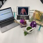 Digitale Tools und virtuelle Labs im Kontext biologischer Schulversuche Biologische Schulversuche